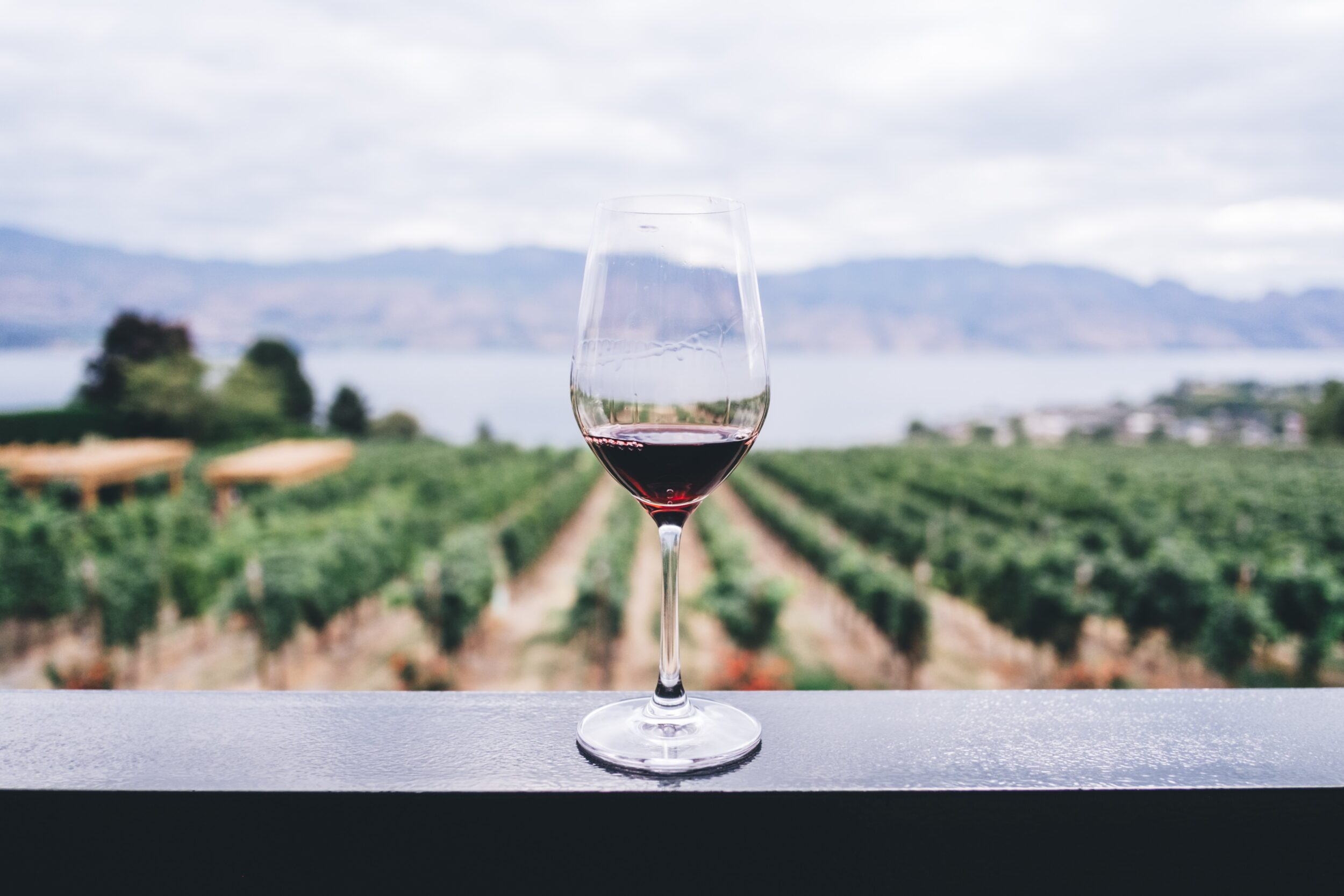 A wine glass rests on a balcony rail that overlooks a vineyard in Okanagan Valley, Canada. 