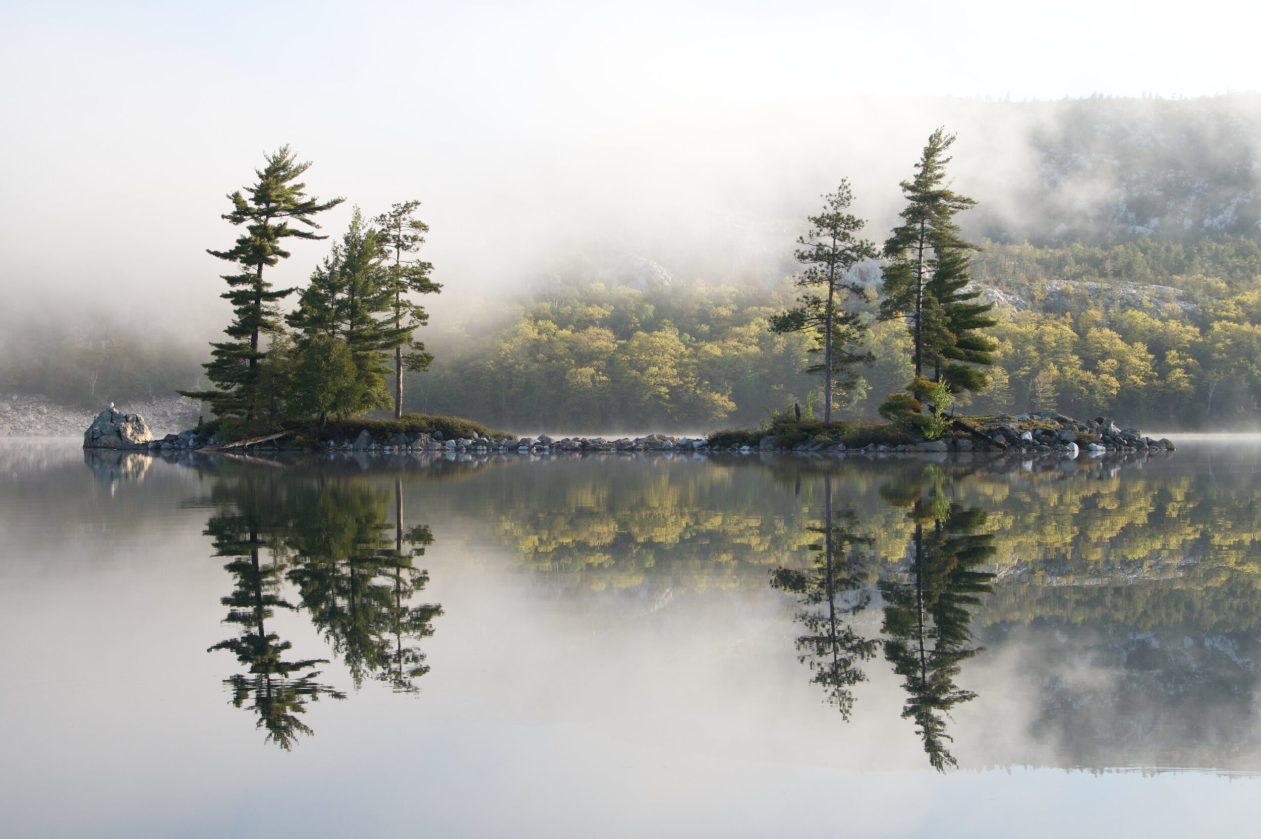 Two small rocky, pine tree islands are seen in a foggy lake in Canada. 