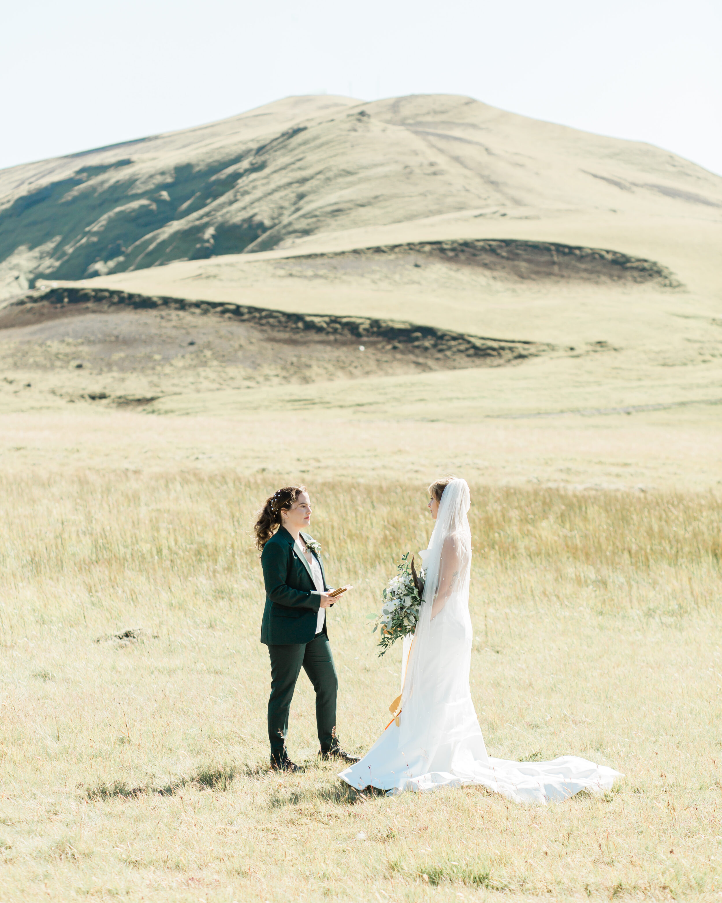 Newlyweds stand in a large meadow in Iceland with a mountain in the distance.