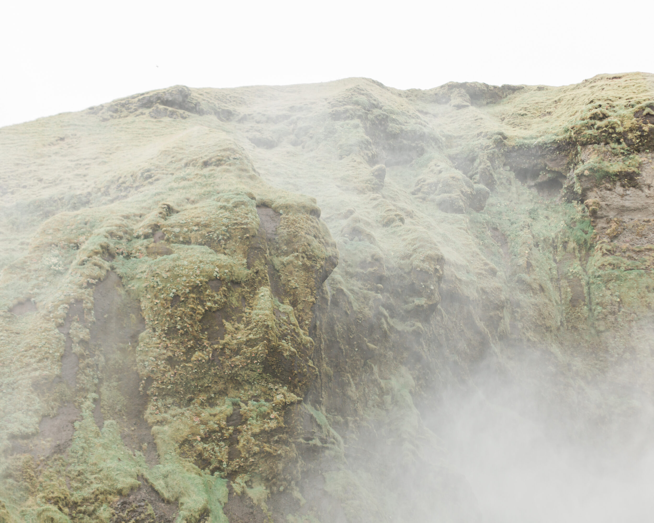 The foggy cliffs that surround Skogafoss are covered in moss.