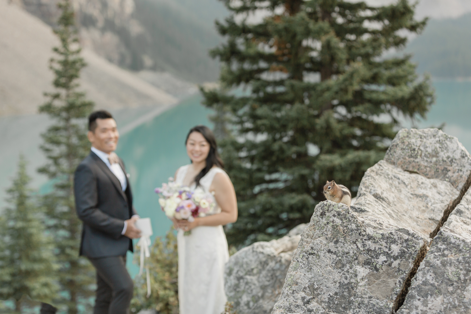 Elopement in Banff National Park couples ceremony with a chipmunk visitor