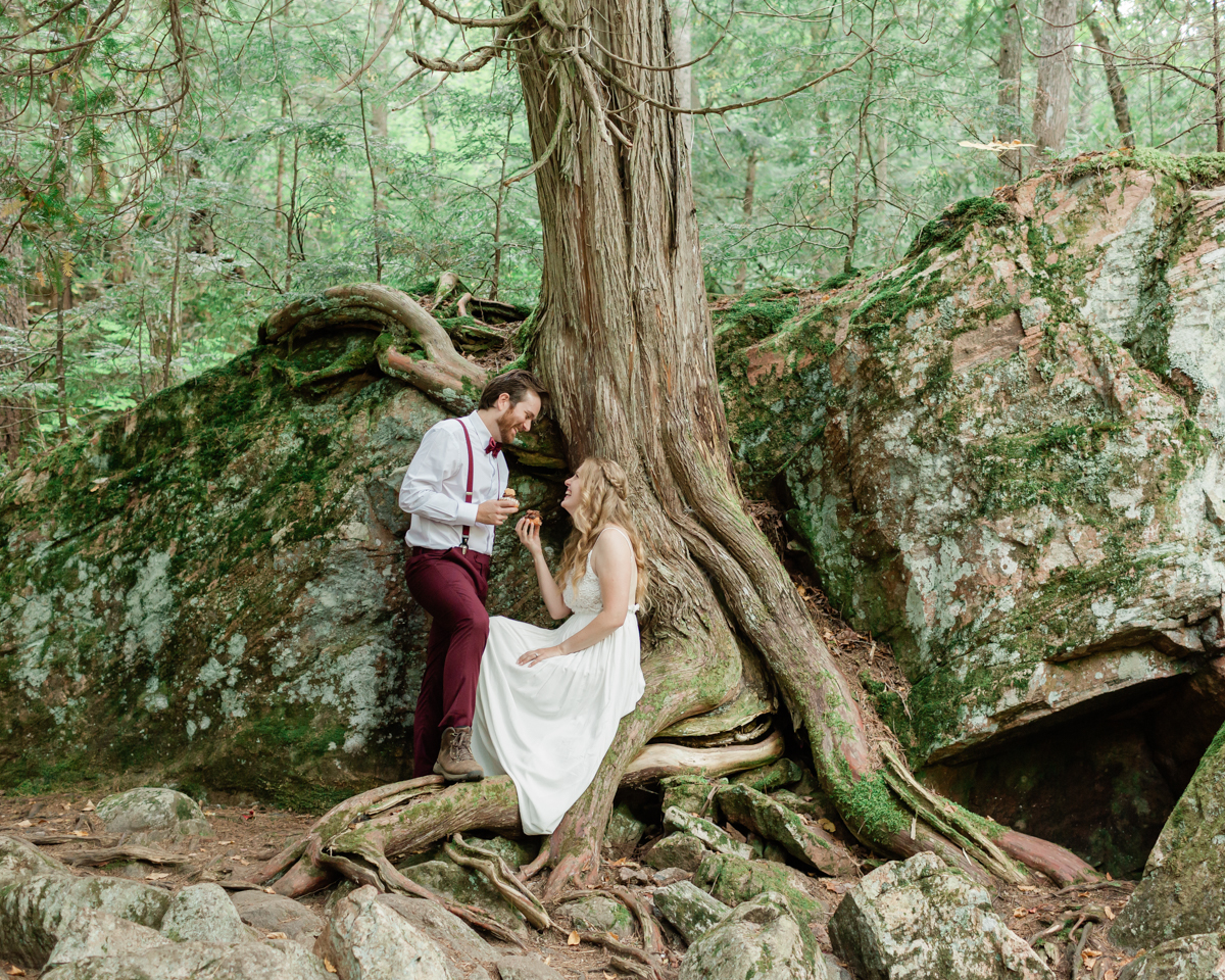 Eating delicious peanut free cupcakes in front of a super cool mystical tree during their Algonquin Park elopement