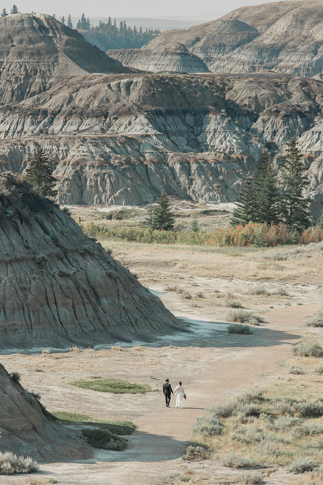 An elopement couple dressed in formal wedding attire walks through Horsethief Canyon in Alberta, Canada.