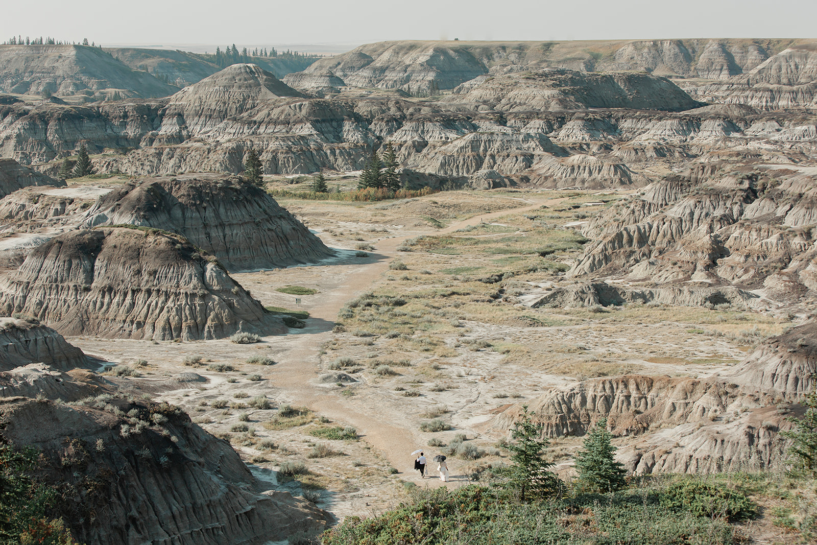 Horsethief Canyon in Alberta, Canada.