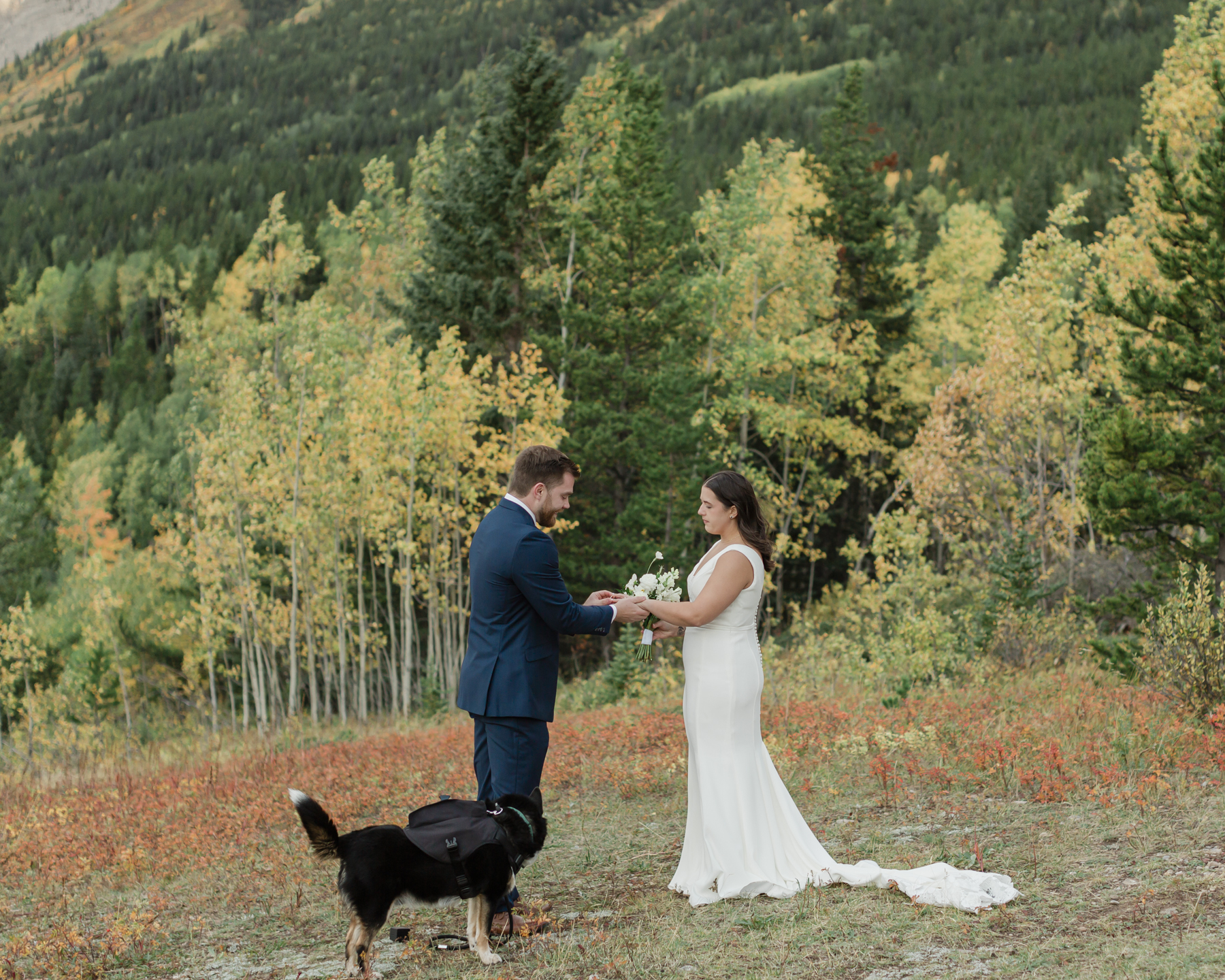 A couple exchanging vows and rings during their Kananaskis Country ceremony