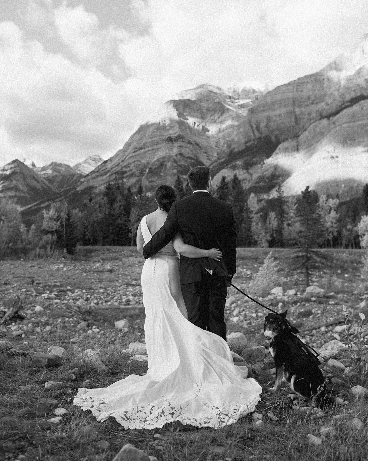 a couple looking at the mountains with their dog near mount kidd