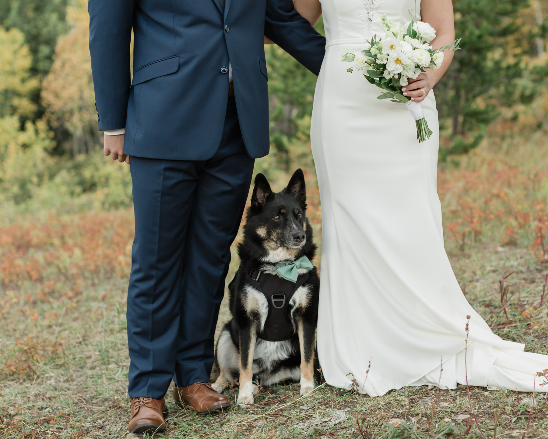 A photo of a couple and their dog during their elopement