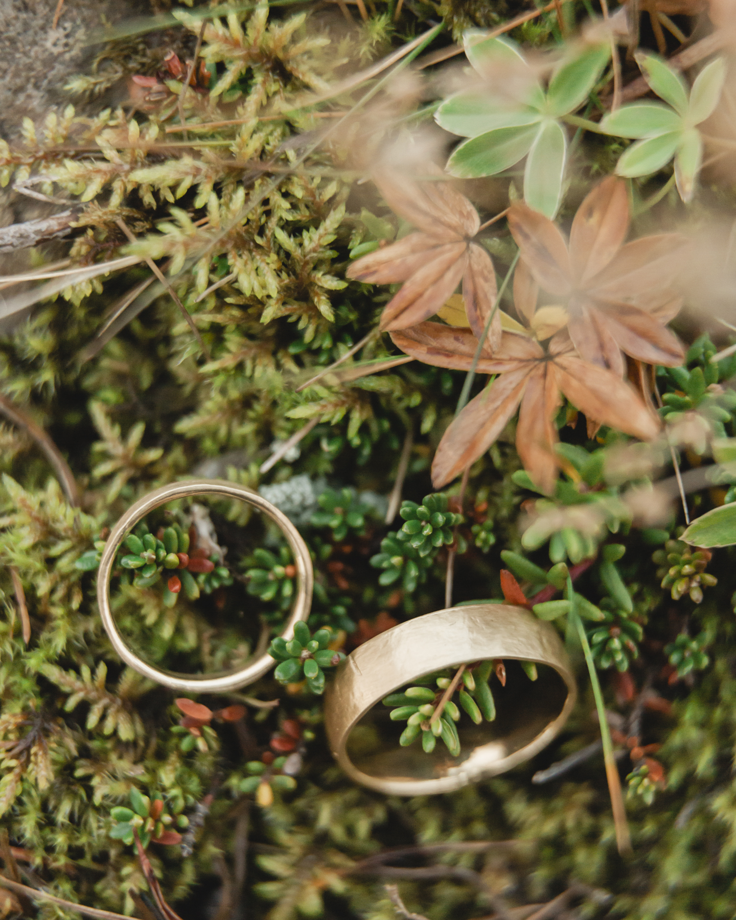 Wedding rings in Iceland in nature