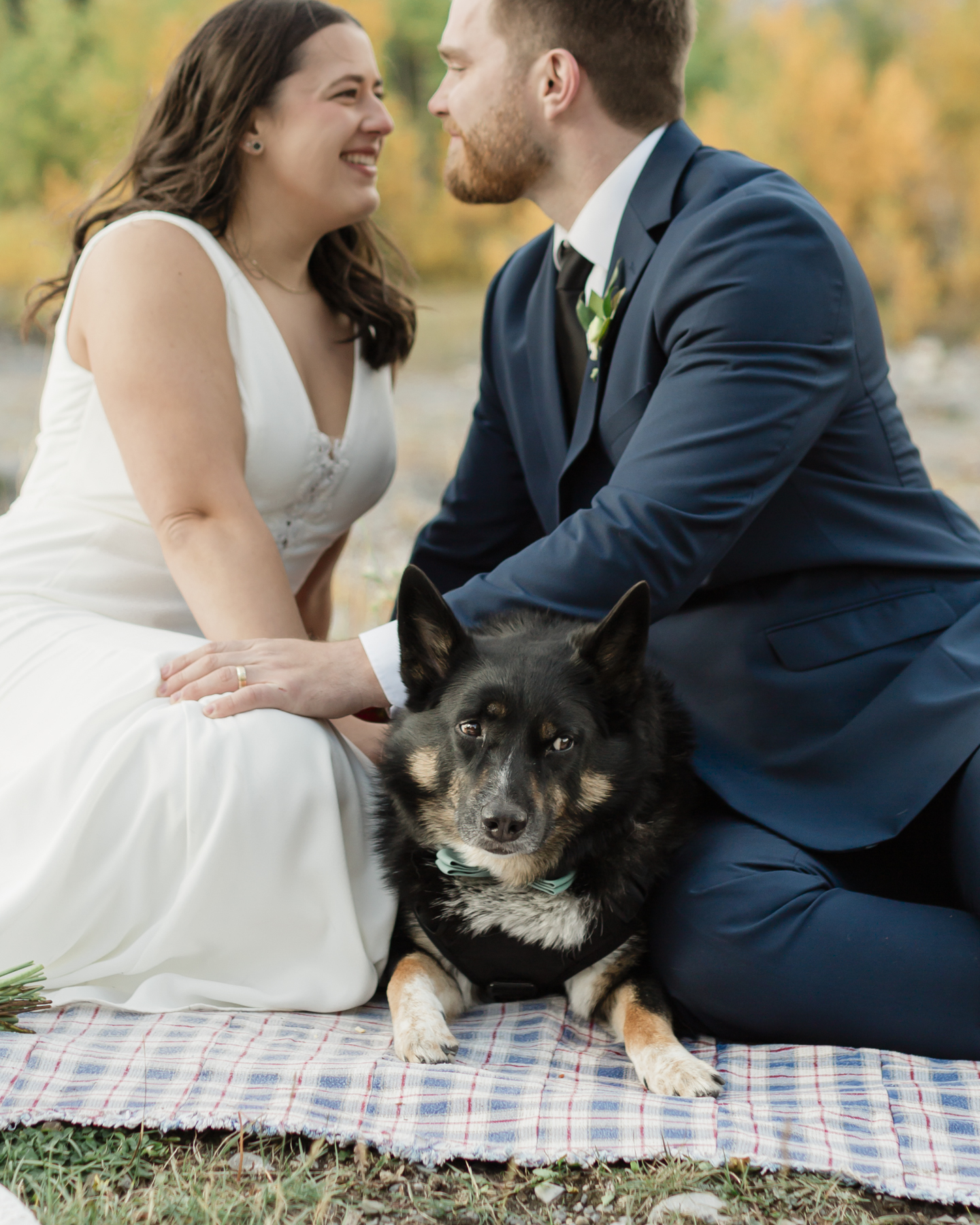 A couple celebrating with a picnic during their elopement near Mount Kidd