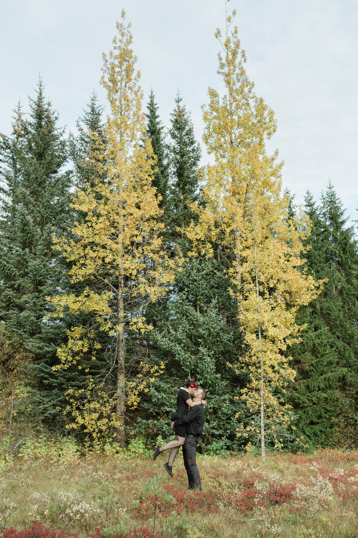 Wedding couple's portraits in the Iceland forest, the groom picked up the bride, green and yellow trees are behind them