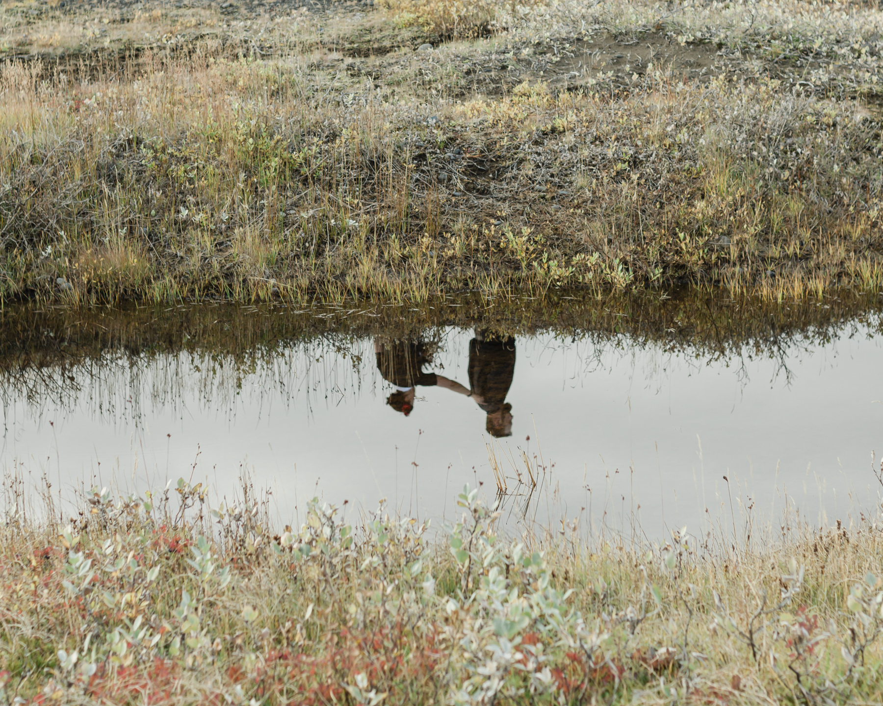 Before their Iceland elopement, Virginia and Derek are having their first look in front of a mountain in the Golden Circle