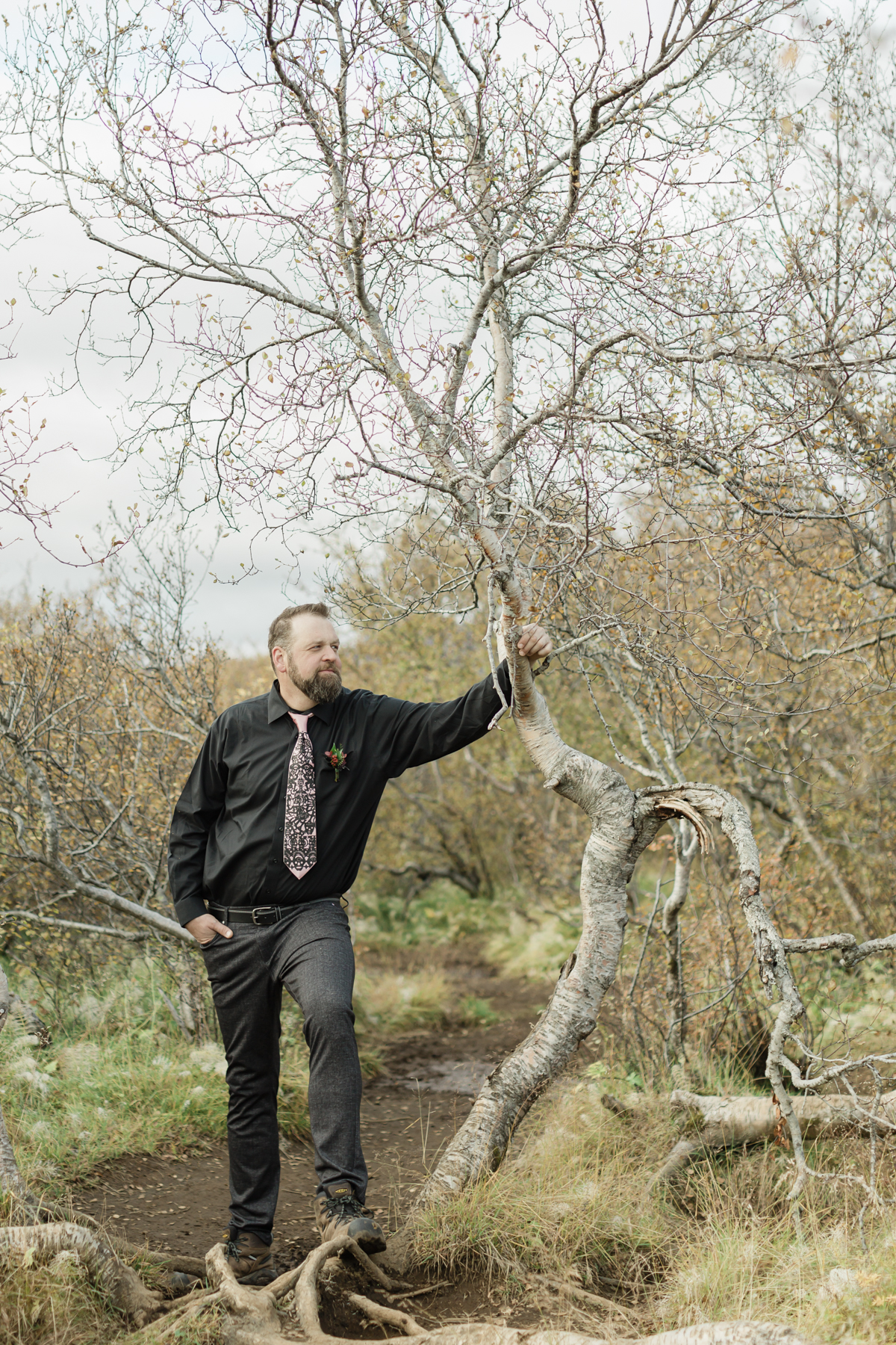 Wedding couple's portraits in the Iceland forest 