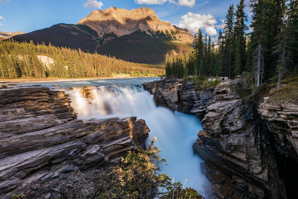 green pine trees near a waterfall and mountain in Jasper, Canada