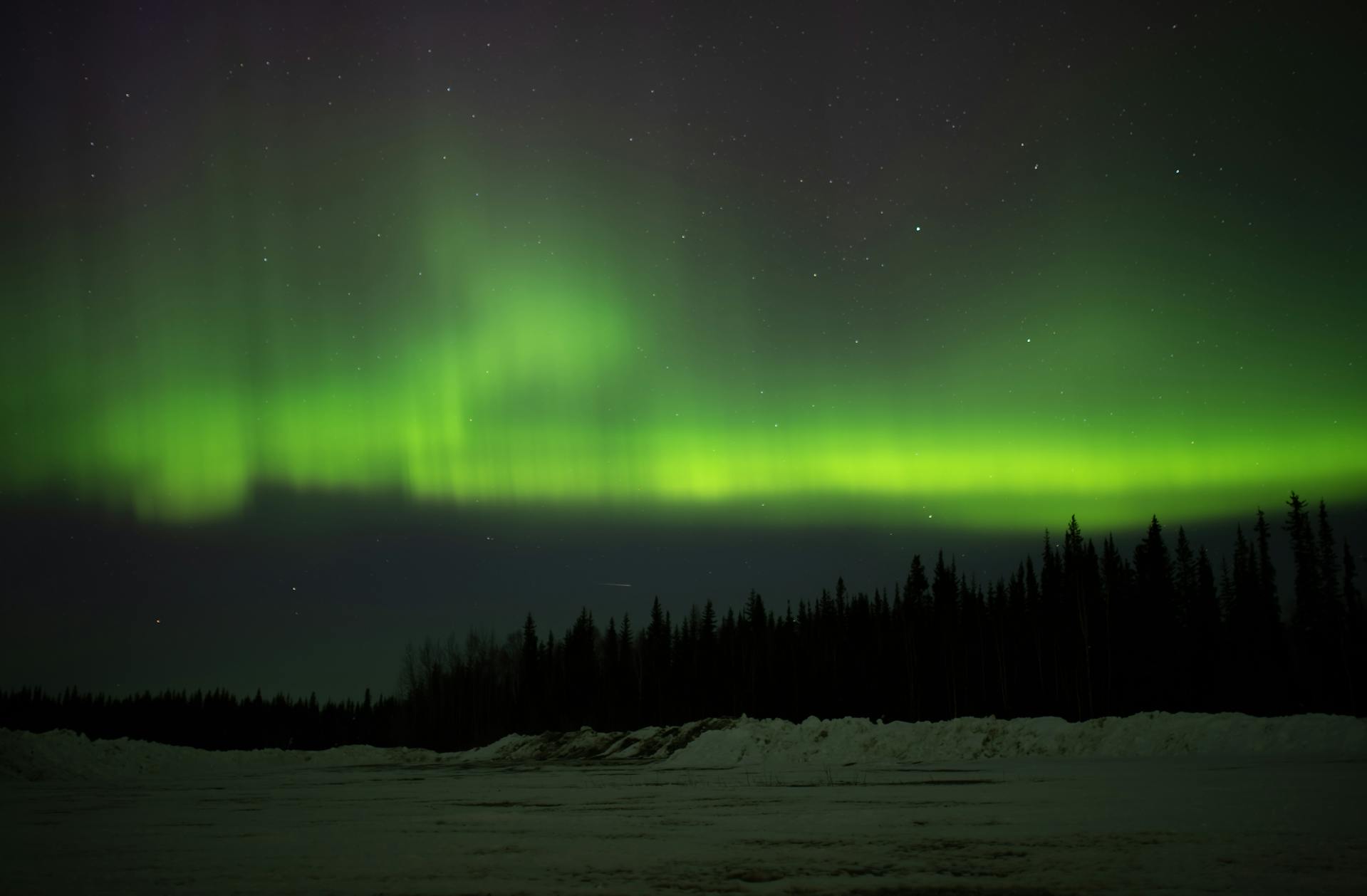 Green Northern Lights in the night sky over Alaskan forest