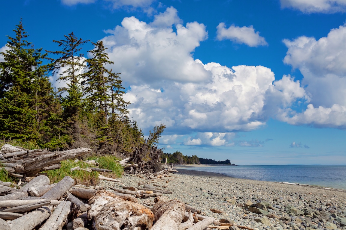 Haida Gwaii beach