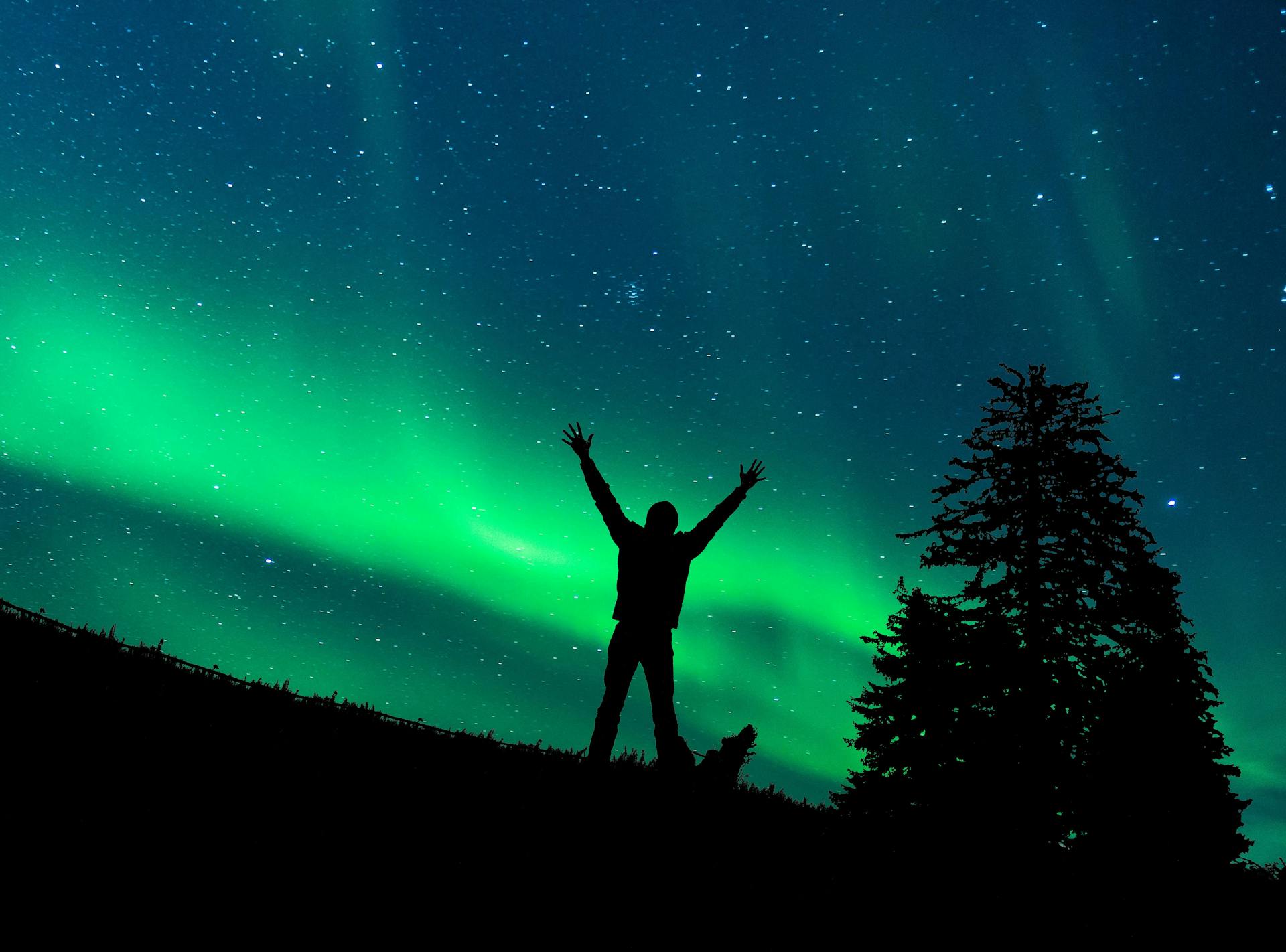 Silhouette of a person standing in the grass under the Northern Lights