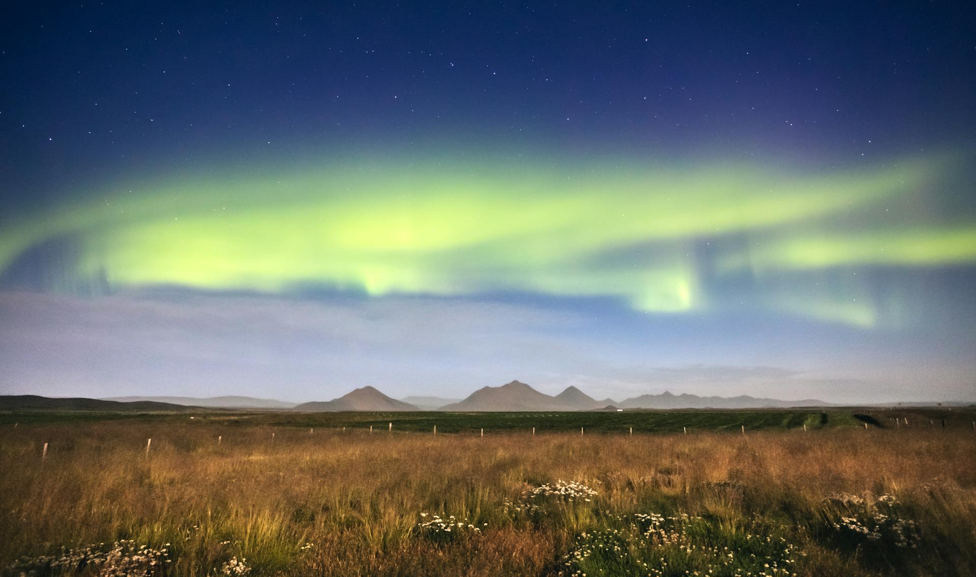Yellow northern lights in Iceland as day transitions to twilight.jpg