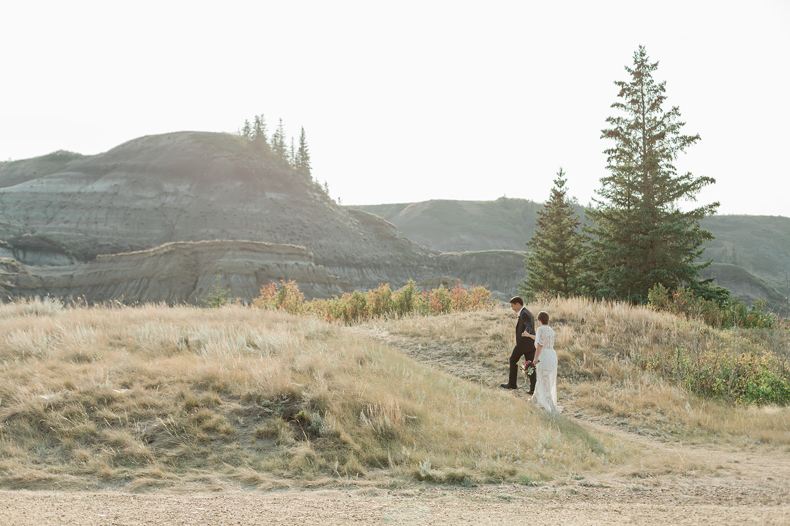 Drumheller elopement in Alberta