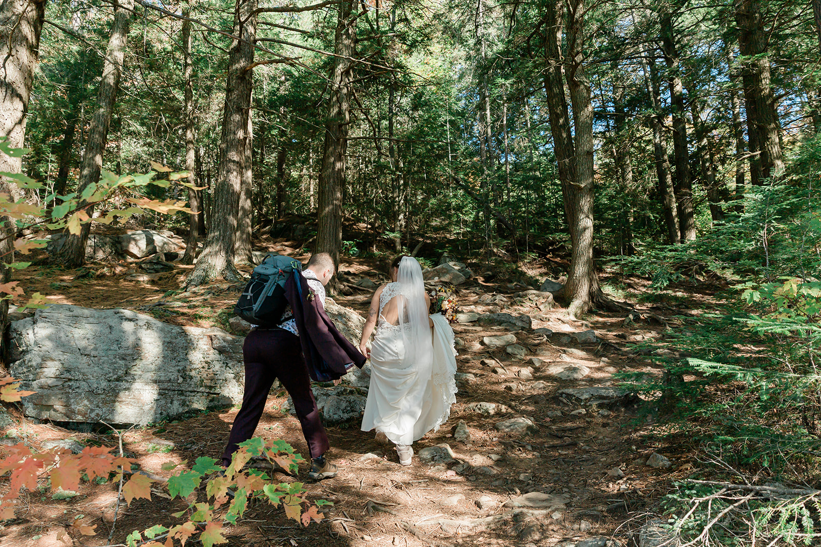 Algonquin Park elopement in Ontario